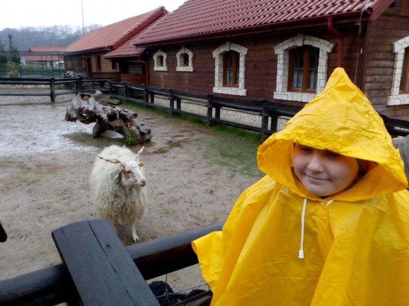 Wycieczka do Jura Parku w Bałtowie